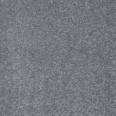 Shaw Floors Value Collections Jealousy Net Mindful Gray 00501_E9121