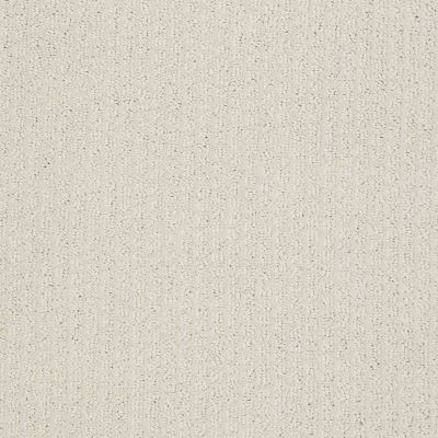 Shaw Floors Value Collections Gainey Ranch Net Canvas 00103_E9123
