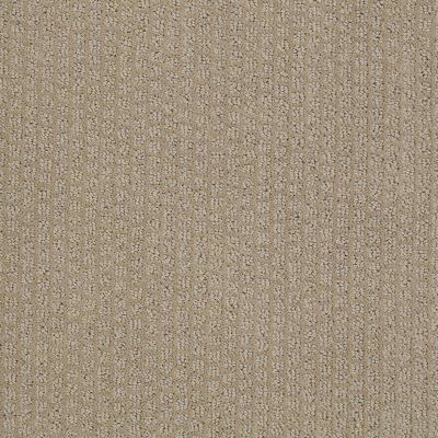 Shaw Floors Value Collections Gainey Ranch Net Hiking Trail 00753_E9123