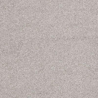 Shaw Floors Value Collections Sweet Life Net Frosted Ice 00510_E9124