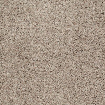 Shaw Floors Value Collections Sweet Life Net Classic 00750_E9124