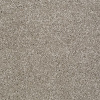 Shaw Floors Value Collections Majority Rules Net Mocha Cream 00105_E9126