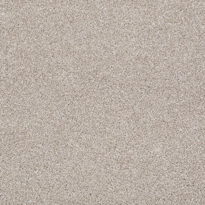 Shaw Floors Value Collections Majority Rules Net Doeskin 00112_E9126