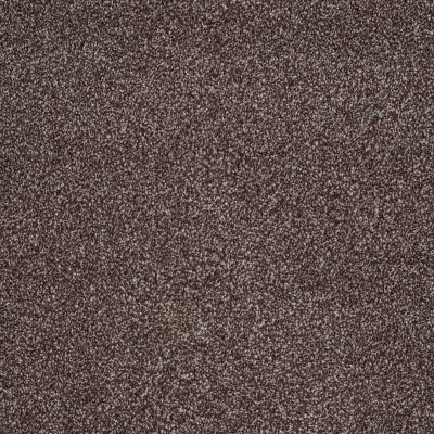Shaw Floors Value Collections Majority Rules Net Fudge Ripple 00717_E9126