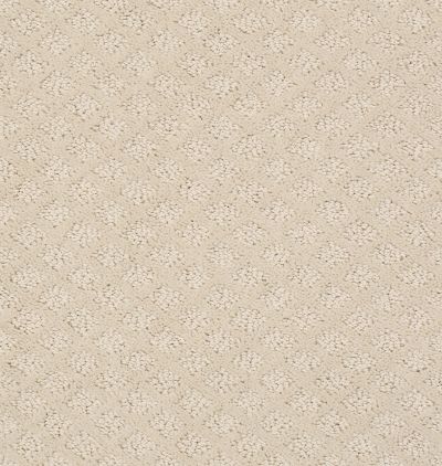 Shaw Floors Value Collections Pace Setter Net Canvas 00103_E9137
