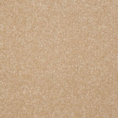 Shaw Floors Value Collections Passageway 1 12 Net Silk 00104_E9152