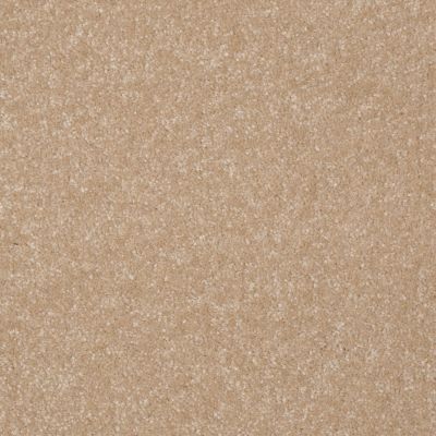 Shaw Floors Value Collections Passageway 1 12 Net Sugar Cookie 00105_E9152