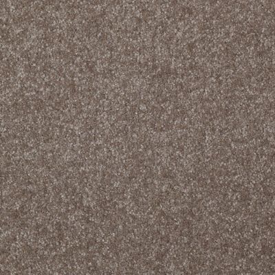 Shaw Floors Value Collections Passageway 1 12 Net Field Stone 00111_E9152