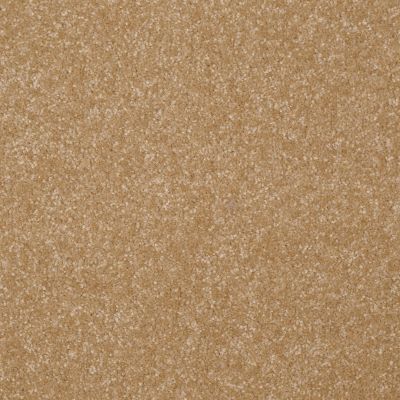 Shaw Floors Value Collections Passageway 1 12 Net Straw Hat 00201_E9152