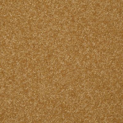 Shaw Floors Value Collections Passageway 1 12 Net Golden Rod 00202_E9152