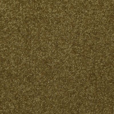Shaw Floors Value Collections Passageway 1 12 Net Green Apple 00303_E9152