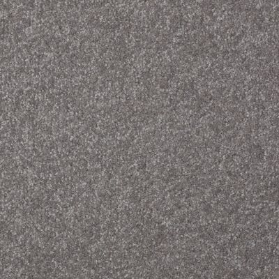 Shaw Floors Value Collections Passageway 1 12 Net Pewter 00501_E9152