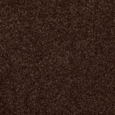 Shaw Floors Value Collections Passageway 1 12 Net Walnut 00706_E9152