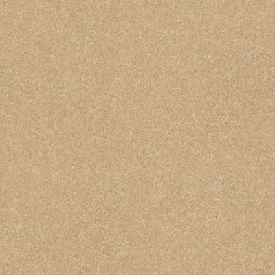 Shaw Floors Value Collections Passageway 2 12 Sugar Cookie 00105_E9153