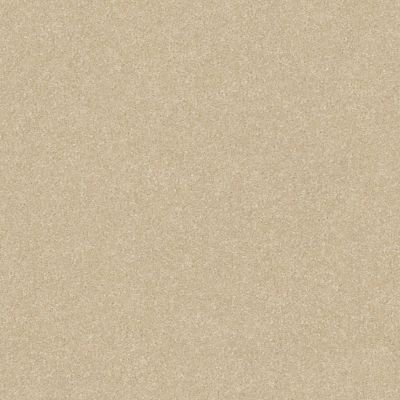 Shaw Floors Value Collections Passageway 2 12 Linen 00107_E9153