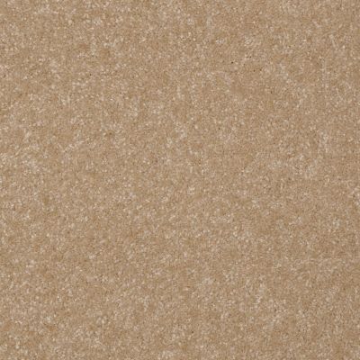 Shaw Floors Value Collections Passageway 2 12 Classic Buff 00108_E9153