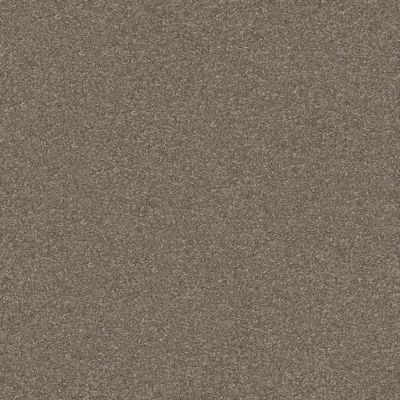 Shaw Floors Value Collections Passageway 2 12 Field Stone 00111_E9153