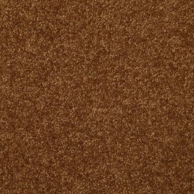 Shaw Floors Value Collections Passageway 2 12 Camel 00204_E9153