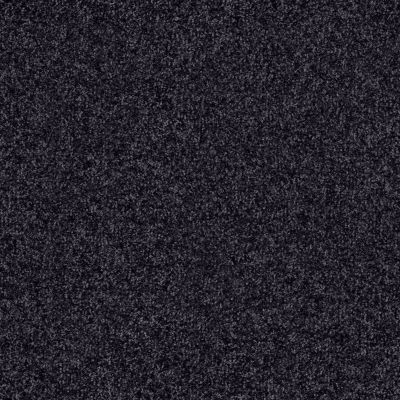 Shaw Floors Value Collections Passageway 2 12 Midnight Sky 00407_E9153
