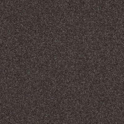 Shaw Floors Value Collections Passageway 2 12 Ship Yard 00502_E9153