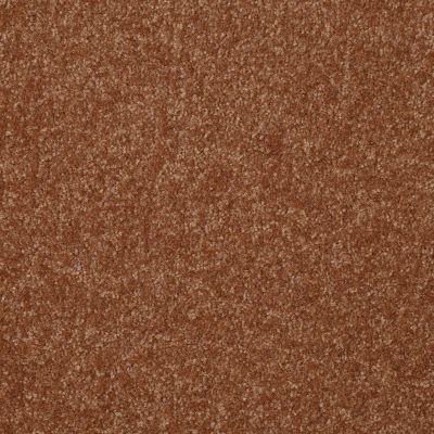 Shaw Floors Value Collections Passageway 2 12 Soft Copper 00600_E9153