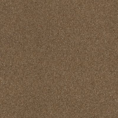 Shaw Floors Value Collections Passageway 2 12 Jute 00703_E9153