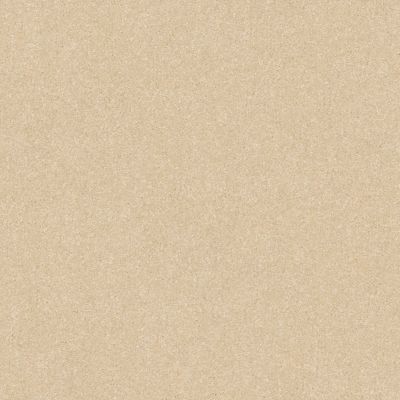 Shaw Floors Value Collections Passageway 3 12 Net Ecru 00103_E9154