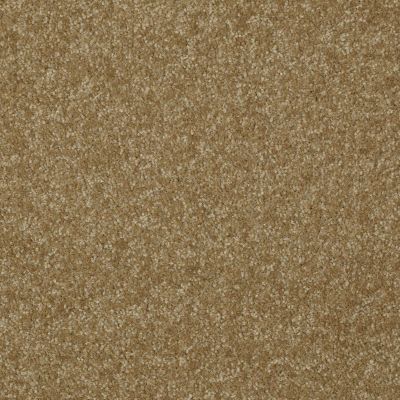 Shaw Floors Value Collections Passageway 3 12 Net Celery 00300_E9154