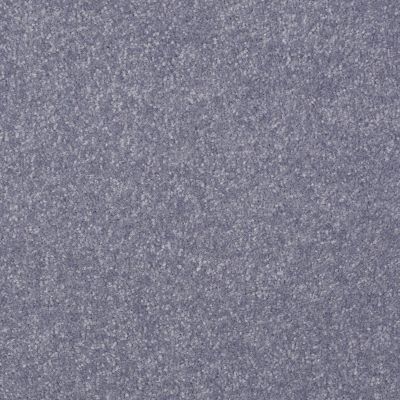 Shaw Floors Value Collections Passageway 3 12 Net Periwinkle 00408_E9154