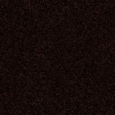 Shaw Floors Value Collections Passageway 3 12 Net Dark Roast 00709_E9154