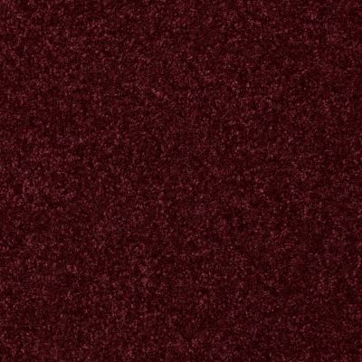 Shaw Floors Value Collections Passageway 3 12 Net Raspberry 00804_E9154