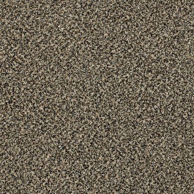 Shaw Floors Simply The Best Because We Can II 12′ Muffin Top 00200_E9187