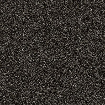 Shaw Floors Simply The Best Because We Can III 12′ Iron Age 00503_E9188