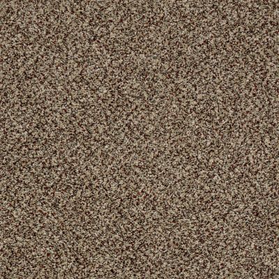 Shaw Floors Simply The Best Because We Can III 12′ Worn Path 00700_E9188