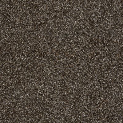 Shaw Floors Simply The Best Because We Can III 12′ Mystic River 00703_E9188