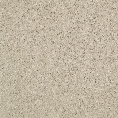 Shaw Floors Value Collections Dyersburg Classic 15′ Net Sand Dollar 00116_E9193
