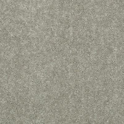 Shaw Floors Value Collections Dyersburg Classic 15′ Net Pebble Path 00132_E9193