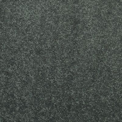 Shaw Floors Value Collections Dyersburg Classic 15′ Net Steel Beam 00534_E9193
