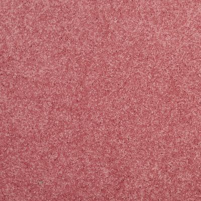 Shaw Floors Value Collections Dyersburg Classic 15′ Net Sassy Pink 00830_E9193