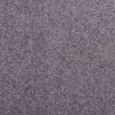 Shaw Floors Value Collections Dyersburg Classic 15′ Net Violet Crush 00930_E9193