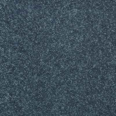 Shaw Floors Value Collections Dyersburg Classic 15′ Net Colonial 55401_E9193