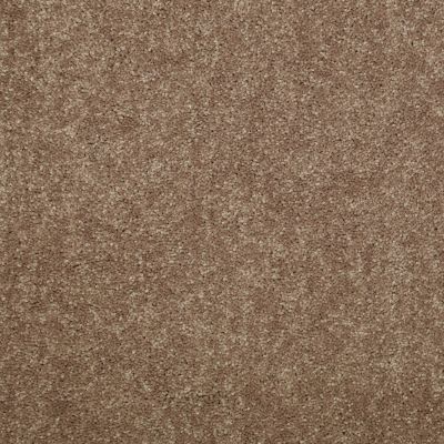 Shaw Floors Value Collections Dyersburg Classic 15′ Net Candied Truffle 55750_E9193