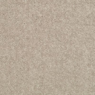 Shaw Floors Value Collections Dyersburg Classic 15′ Net Plaster 55752_E9193