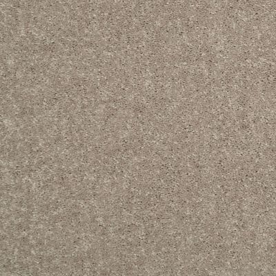 Shaw Floors Value Collections Dyersburg Classic 15′ Net Taupe Mist 55792_E9193