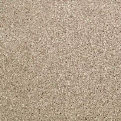 Shaw Floors Value Collections Dyersburg Classic 15′ Net Dusty Trail 55793_E9193