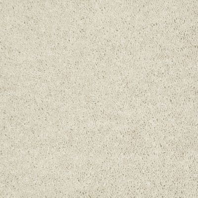 Shaw Floors Value Collections Briceville Classic 12′ Net Morning Light 00102_E9196