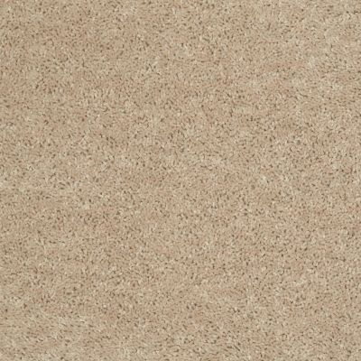 Shaw Floors Value Collections Briceville Classic 12′ Net Adobe 00103_E9196