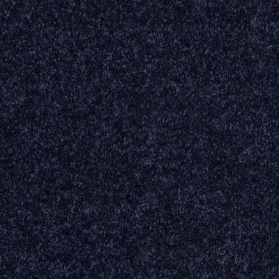Shaw Floors Value Collections Briceville Classic 12′ Net Evening Sky 00403_E9196