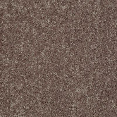 Shaw Floors Value Collections Briceville Classic 12′ Net Shale 00703_E9196