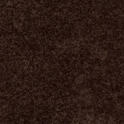 Shaw Floors Value Collections Briceville Classic 12′ Net Walnut 00705_E9196